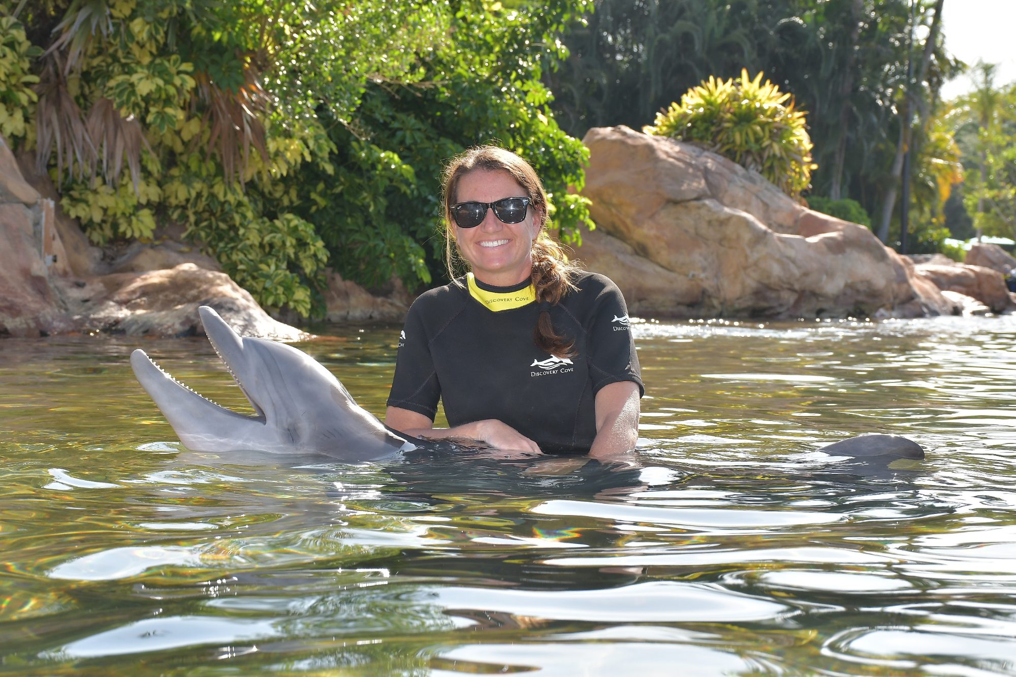 Swimming with Dolphins