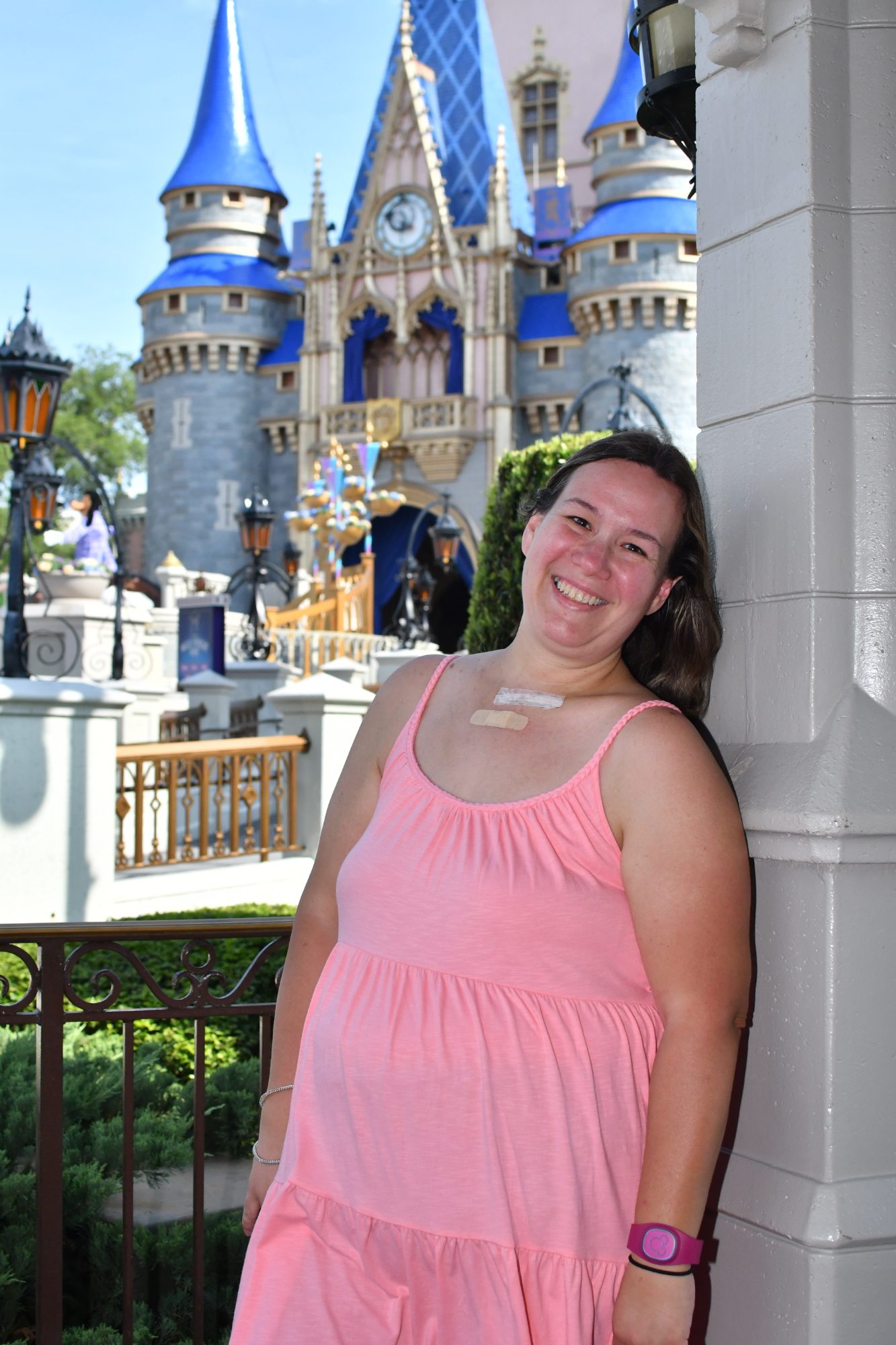 Walt Disney World