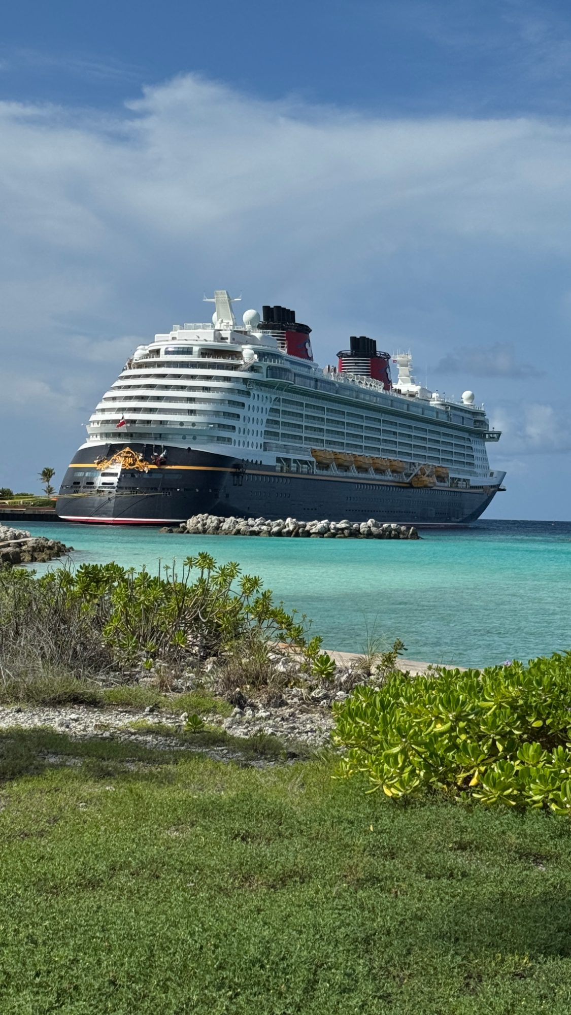 Disney Dream
